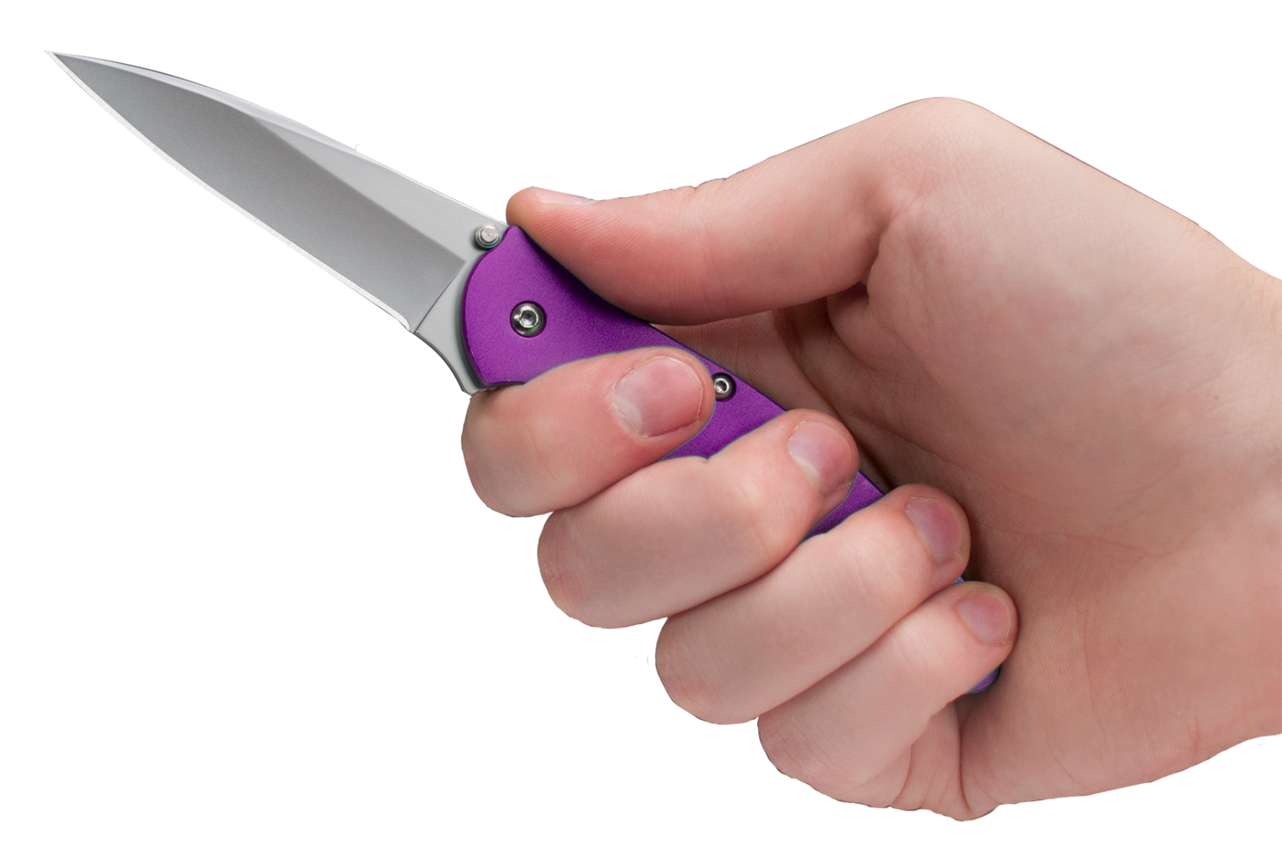 Kershaw Leek Assisted Folding Knife – Purple Handle | Kershaw