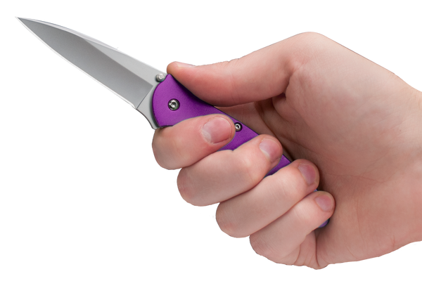 Kershaw Leek Assisted Folding Knife – Purple Handle | Kershaw