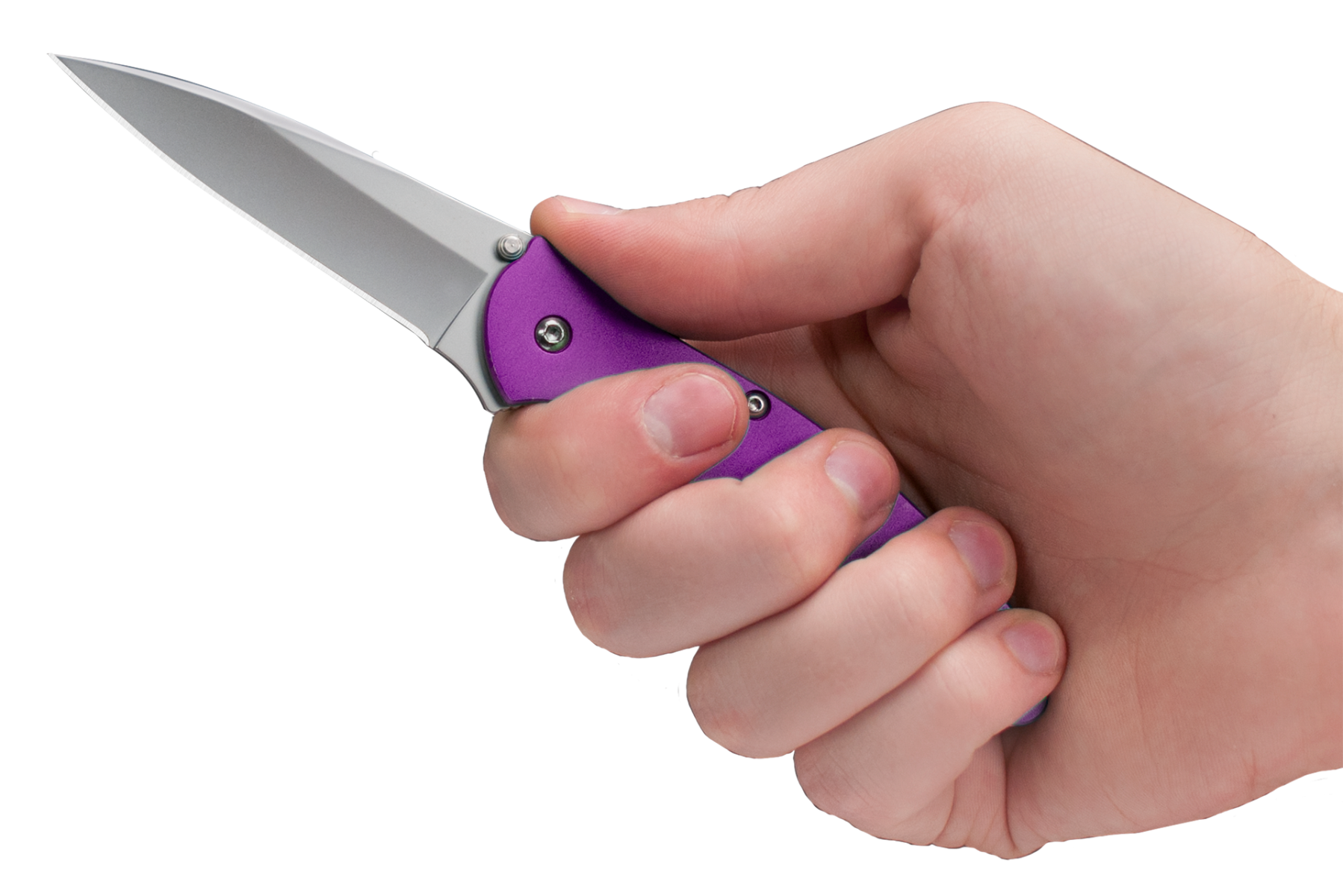 Kershaw Leek Assisted Folding Knife – Purple Handle
